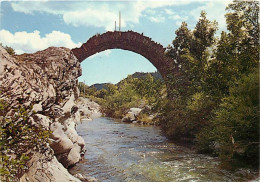 30 - Gard - Les Cévennes - Environs De Saint-Jean Du Gard - Le Pont Des Chèvres à L'Estrechure - Vieilles Pierres - CPM  - Other & Unclassified