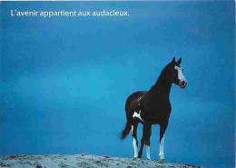Animaux - Chevaux - Cheval En Liberté - CPM - Voir Scans Recto-Verso - Paarden
