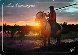 Animaux - Chevaux - Camargue - Gardian Le Soir Dans Les Marais - CPM - Voir Scans Recto-Verso - Caballos