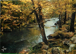 56 - Morbihan - Entre Le Faouët Et Hennebont La Vallée Du Scorff Dans La Forêt De Pont-Galleck - CPM - Voir Scans Recto- - Autres & Non Classés