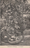 REF.AC . CPA . MISSIONS D'AFRIQUE . LE PAPAYER - Cultivation