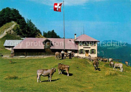 12674697 Libingen Berggasthaus Kreuzegg Libingen - Autres & Non Classés