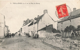 Treillières * La Rue Du Bourg Du Village * Villageois * Buvette - Autres & Non Classés