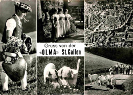 12646197 St Gallen SG OLMA Schweizer Messe Landestrachten Ferkel Ziegen Fliegera - Otros & Sin Clasificación