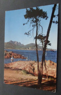 Dans L'Esterel - Les Rochers Vers Le Dramont - Couleurs Naturelles - Saint-Raphaël