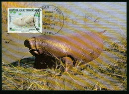 Mk Togo Maximum Card 1984 MiNr 1764 | Endangered Wildlife. WWF. West African Manatee #max-0069 - Togo (1960-...)