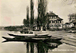 12614887 Paradies Rhein Gasthaus Zum Kreuz Paradies - Sonstige & Ohne Zuordnung