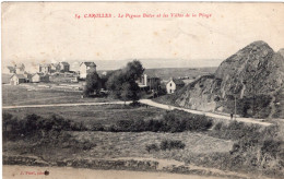 CAROLLES , Le Pignon Butor Et Les Villas De La Plage - Other & Unclassified
