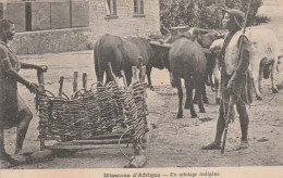 REF.AC . CPA . MISSIONS D'AFRIQUE . UN ATTELAGE IN DIGENNE - Breeding