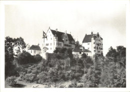 12587747 Wigoltingen Schloss Altenklingen Wigoltingen - Autres & Non Classés