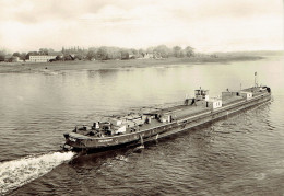 SCHÖNEBECK : Blick Von Der Elbbrücke Nach Grünewalde - Photo Véritable - Schönebeck (Elbe)