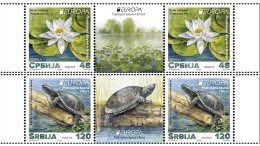 Serbia 2024 Europa White Water-lily Flora Plants Pond Turtles Animals Fauna MNH - Servië