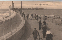 104-Zeebrugge Entrée Du Môle - Zeebrugge