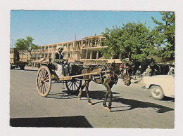 Afghanistan KABUL Traditional Horse Buggy (GADDY), Street Scene, View Vintage Photo Postcard RPPc AK (1283) - Afganistán