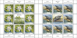 Serbia 2024 Europa White Water-lily Flora Plants Pond Turtles Animals Fauna MNH - Serbia