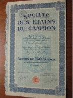 INDOCHINE - LOT DE 3 TITRES IDENTIQUES - STE DES ETAINS DU CAMMON - ACTION DE 25 PIASTRES - PARIS 1927 - Autres & Non Classés