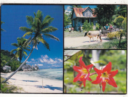 SEYCHELLES. MAHE (ENVOYE DE ). MULTIVUES. LA DIGUE.  ANNEE 2002 + TEXTE + TIMBRE - Seychellen