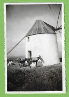 Luso - Buçaco - REAL PHOTO - Moinho De Vento, 1957 - Molen - Windmill - Moulin - Portugal - Mulini A Vento