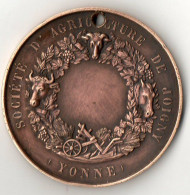 Medaille De Prix D Agriculture De Joigny (yonne) Cuivre Olivier De Serres 1855 - Autres & Non Classés