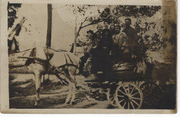 98 - Carte Photo - Transport En Calèche - Photographie