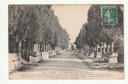 13 . Arles . Les Aliscamps . Allée Des Tombeaux  . 1914 - Arles