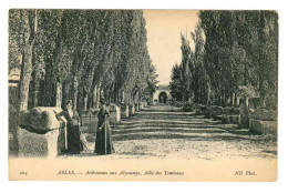 13 . ARLES . Arlésiennes Aux Alyscamps . Allée Des Tombeaux - Arles