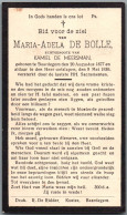 Bidprentje Baardegem - De Bolle Maria Adela (1877-1936) - Images Religieuses