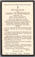 Bidprentje Baardegem - De Meersman Livinus (1866-1936) - Images Religieuses