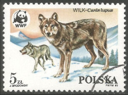 WWF-4 Polska Wolf Loup Lobo Lupo - Unused Stamps