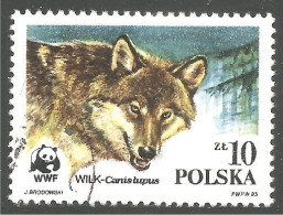 WWF-3b Polska Wolf Loup Lobo Lupo - Unused Stamps
