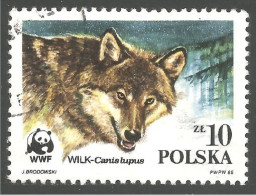 WWF-3a Polska Wolf Loup Lobo Lupo - Nuevos