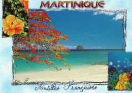 *CPM - 972 - MARTINIQUE - Antilles Françaises - Autres & Non Classés
