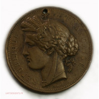 Médaille Exposition Universelle Paris 1878 Par Oudiné, A. Dubois - Monarchia / Nobiltà