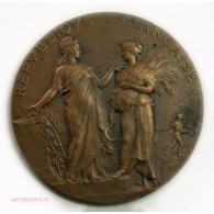 Médaille Agriculture Alphée DUBOIS, Lartdesgents - Monarchia / Nobiltà