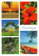 *CPM - 972 - MARTINIQUE - Multivues - Other & Unclassified