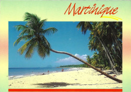 *CPM - 972 - MARTINIQUE - SAINTE ANNE - Plage Des Salines - Le Marin