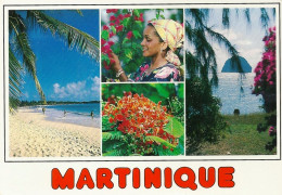 *CPM - 972 - MARTINIQUE - Multivues - Other & Unclassified