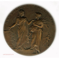 Médaille Agriculture Alphée DUBOIS, Lartdesgents - Adel
