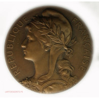Médaille ASSISTANCE PUBLIQUE PARIS 1907 Décernée à Jean VINCHON - Adel