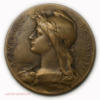 Médaille ASSISTANCE PUBLIQUE PARIS 1907, 7° Par O.ROTY - Monarchia / Nobiltà