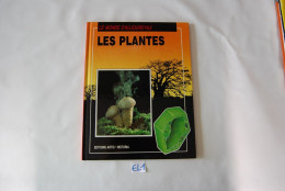 EL1 Revue - Les Plantes - Artis Historia - Geschiedenis