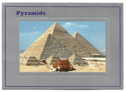 PYRAMIDS.-  EL CAIRO.- ( EGYPT - EGIPTO ) - Cairo