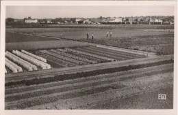 FLEURY Les AUBRAIS  Potager De L'établissement Des Psychothérapique - Other & Unclassified