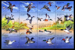 BIELORUSIA 1996 - BELARUS - FAUNA - PAJAROS - PATOS - YVERT 135/150** - Entenvögel