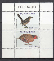 2014 Suriname Surinam Birds Oiseaux Miniature Sheet Of 2  MNH - Suriname