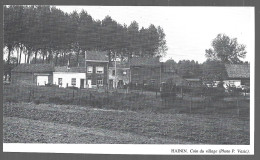 1980  --  BELGIQUE . HAININ . ASPECT DU VILLAGE . 4B123 - Ohne Zuordnung