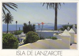 AK 211686 SPAIN - Lanzarote - Lanzarote