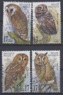 BELGICA 1999 - BELGIQUE - BELGIUM - PAJAROS - AVES - BUHOS - YVERT Nº 2805/2808 USADOS - Gufi E Civette