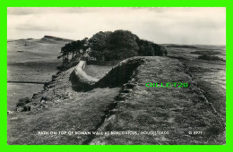 HOUSESTEADS, NORTHUMBERLAND, UK - PATH ON TOP OF ROMAN WALL AT BORCOVICUS - TRAVEL IN 1961 - REAL PHOTO - - Andere & Zonder Classificatie