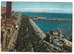 EXPLANADA Y VISTA PARCIAL.- ALICANTE.- ( ESPAÑA ) - Alicante